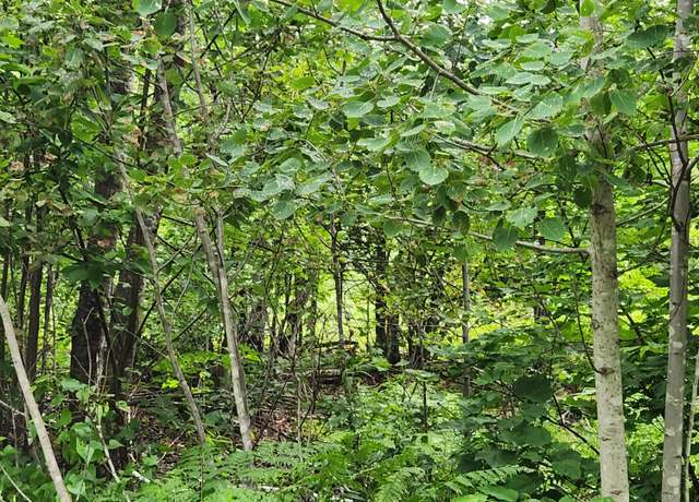 Property at Lot B Blackberry Ln, Buckfield, ME 04220
