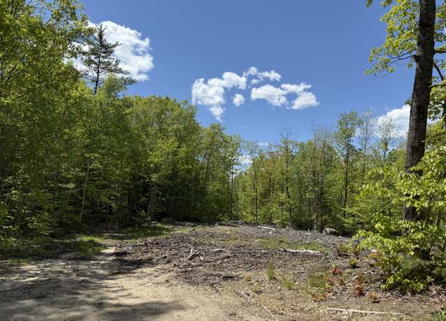 Property at Lot 1 Naples Rd, Harrison, ME 04040
