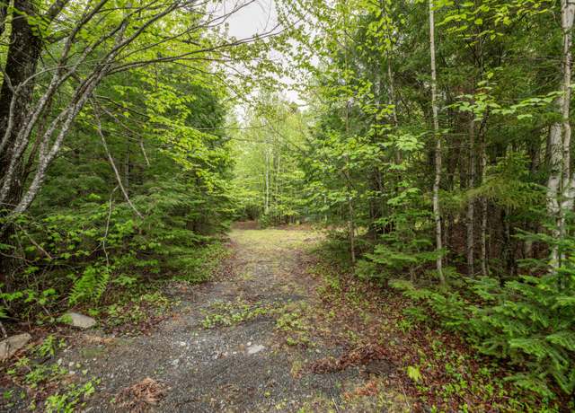 Property at Lot I Partridge Ln, Medford, ME 04463