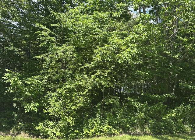 Property at Lot #3 Peaslee Road Rd, Hancock, ME 04640