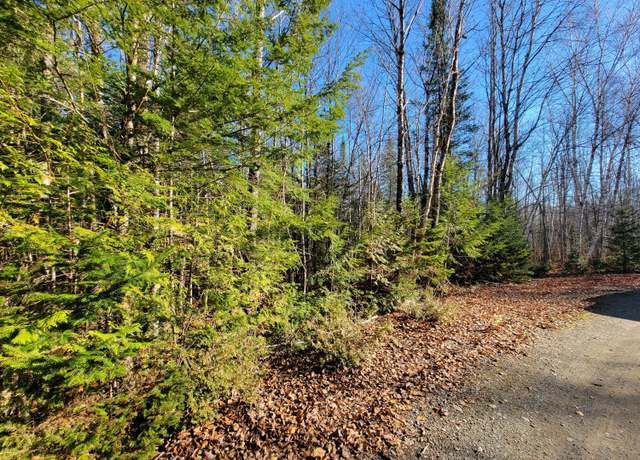 Property at 0 Gravy Ln, Bradford, ME 04410