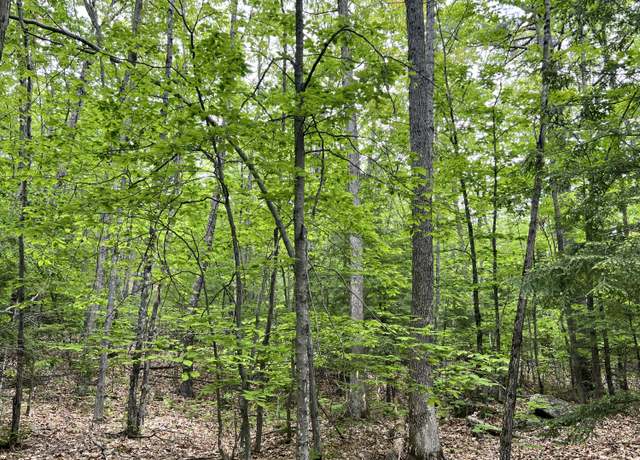Property at 0 Ledgeview Hts, Hiram, ME 04041