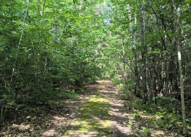 Property at Lot 9A Maple Ridge Rd, Harrison, ME 04040