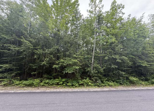 Property at Lot 1 Swamp Rd, Bridgton, ME 04009