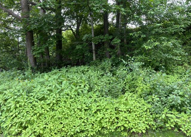 Property at Lot 76A Eastern Rd, Warren, ME 04864