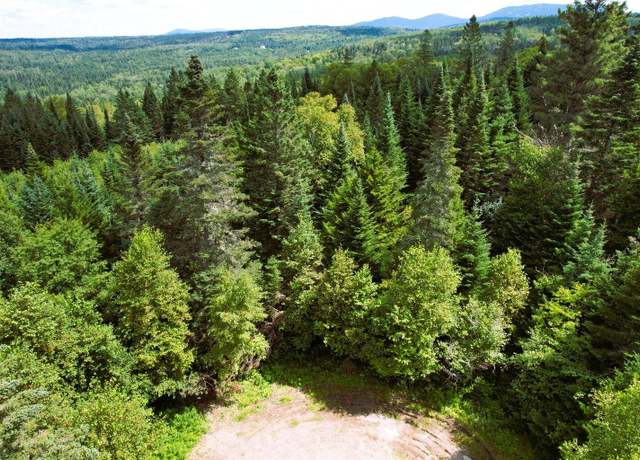 Property at Lot  59 Left Branch of Summit Rd, Sandy River Plt, ME 04970