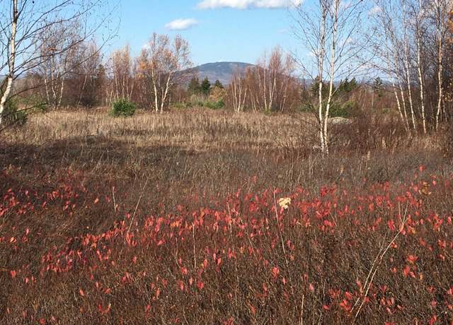 Property at 08-02A Sedgwick Ridge Rd, Sedgwick, ME 04676