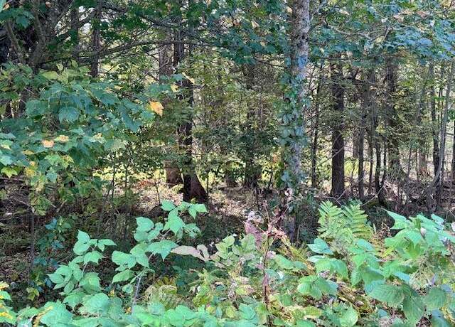 Property at Lot 2 Back Ridge Rd, Orland, ME 04472