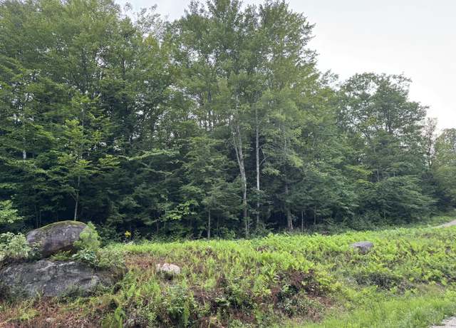 Property at Lot 54-2 Jack Rabbit Run, Fryeburg, ME 04037
