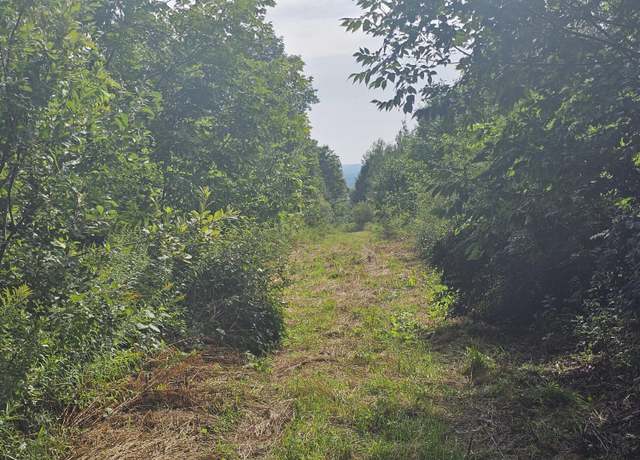 Property at L3 M,R-1 Aroostook Scenic Hwy, Patten, ME 04765