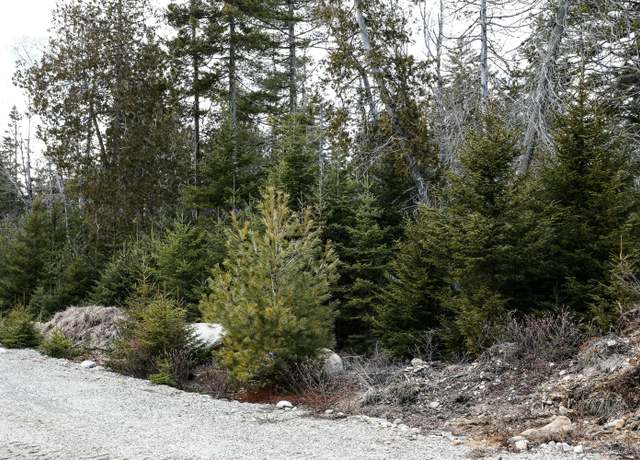 Property at Lot 10 4R2 Pine Cone Ln, Surry, ME 04684
