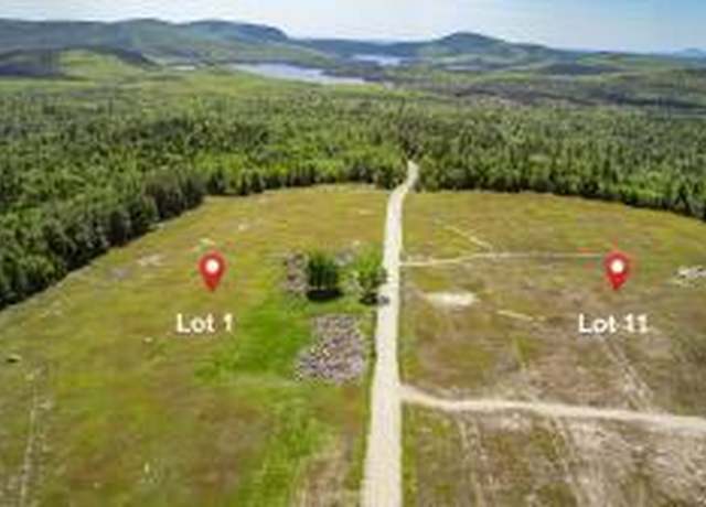 Property at MAP13LOT1 Martins Ridge Rd, Franklin, ME 04634