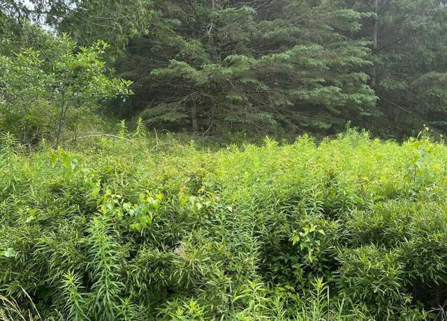 Property at Lot 5 Soper Rd, Orland, ME 04413