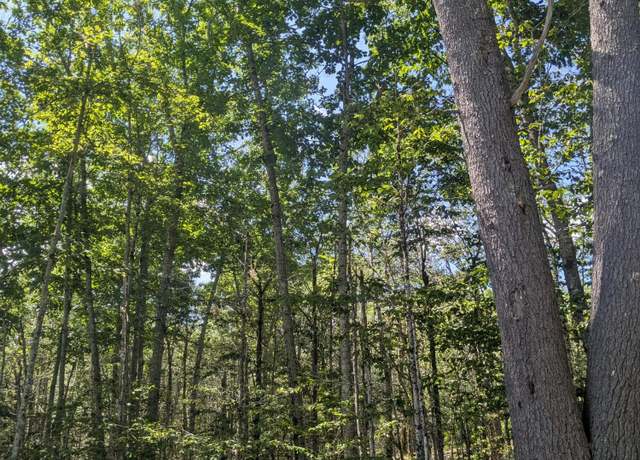 Property at 1026 Bucks Mills Rd, Bucksport, ME 04416