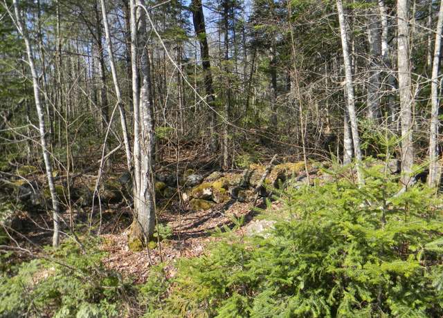 Property at 0 Lot Pease, Map 4 Lot 4 Rd, Cambridge, ME 04923