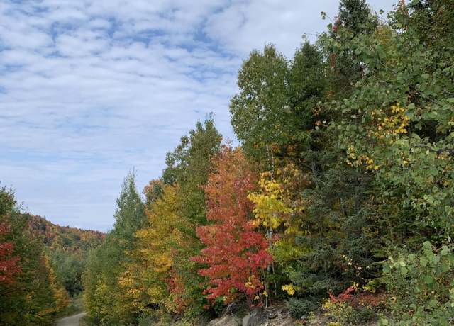 Property at tbd Plumbago Mtn, Newry, ME 04261