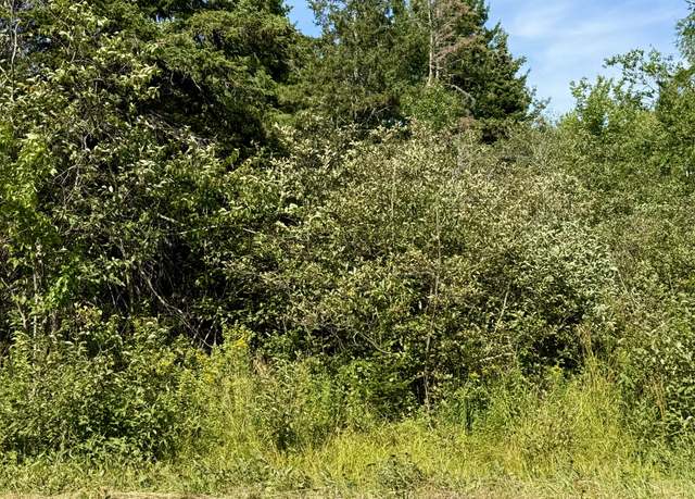 Property at 85 Palmer Landing Rd, East Machias, ME 04630