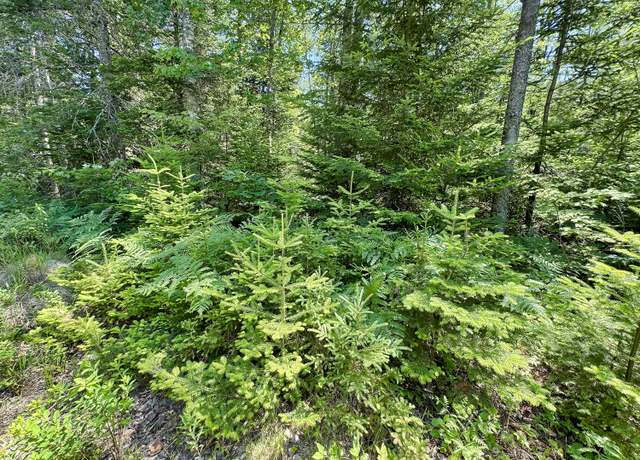 Property at Lot 2 Crooked Rd, Bar Harbor, ME 04609