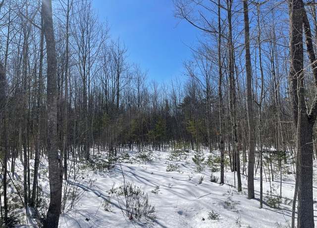 Property at 0 Maple Ridge Rd, Harrison, ME 04040