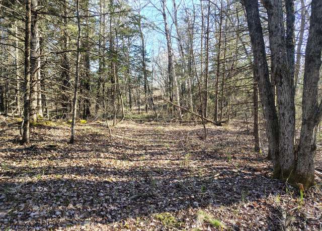 Property at M17/L28 Basin Rd, Addison, ME 04606