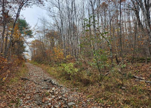 Property at Lot#13-2B Tyler Lane Ln, Frankfort, ME 04438