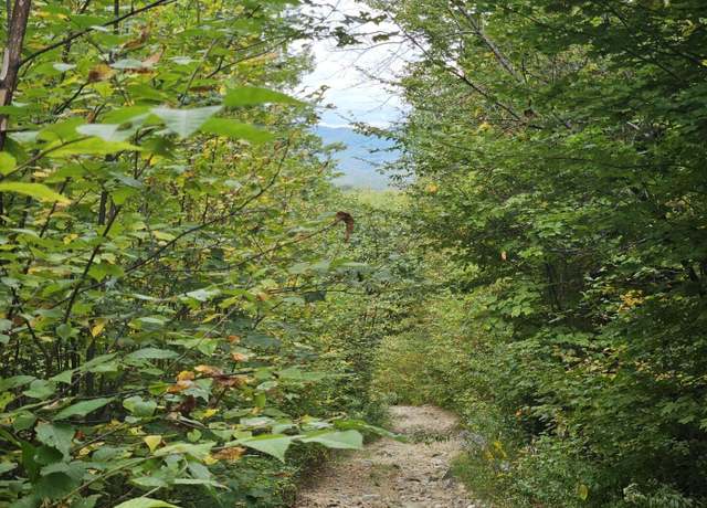 Property at 35 Off Averill Hill & Timberland Rd, Dixfield, ME 04224