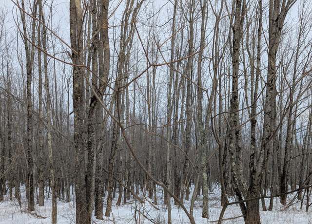 Property at lot 7 Garcelon Rd, Burnham, ME 04922