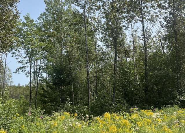 Property at Map3Lot12C Fowler Road Xrd, Woodland, ME 04736