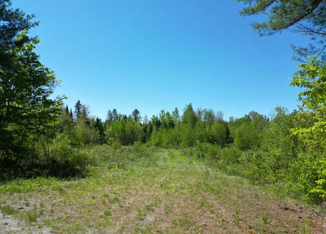 Property at Lot 5 Fogg Brook Rd, Lowell, ME 04493