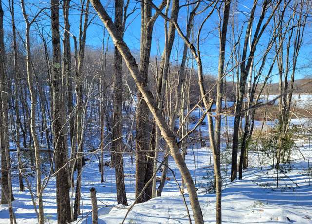 Property at 11 Symmes Rd, Newfield, ME 04095