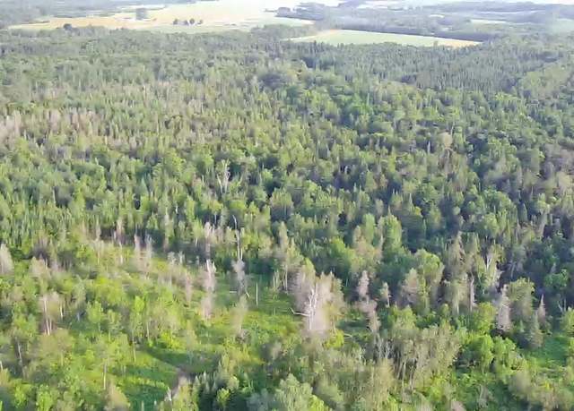 Property at 297 Washburn Rd, Presque Isle, ME 04769