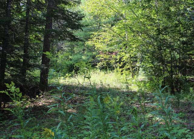 Property at m62-2 Lt 3 Westcott Stream Rd, Waldo, ME 04915