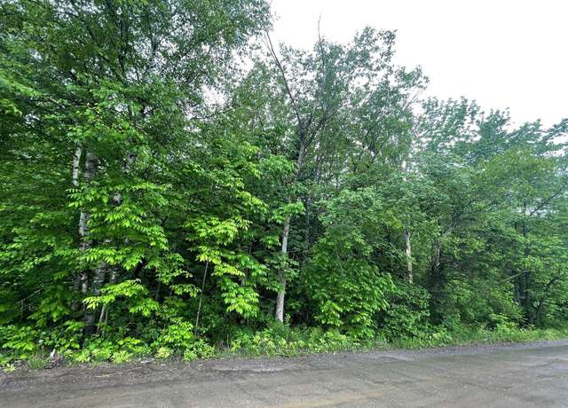 Property at M1 L 11-3 Coboro Rd, Stetson, ME 04488