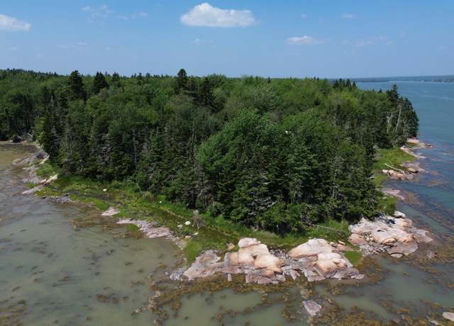 Property at M7 L 5,6 Pineo Point Rd, Harrington, ME 04643
