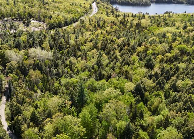 Property at 0 map 7/2 Ebens Trl, Orland, ME 04472