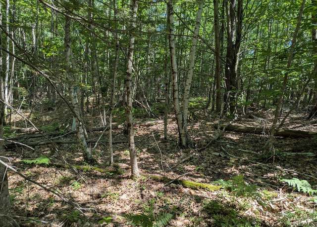 Property at 0 Beech Ridge Rd, Scarborough, ME 04074
