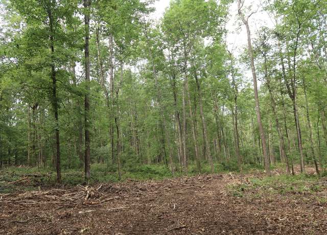 Property at Map105Lt12 Main St, Readfield, ME 04355