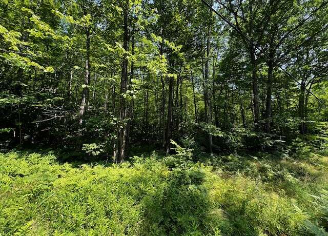 Property at MR09 L024 Varnum Pond Rd, Temple, ME 04294