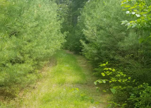 Property at M13, L36, Harland Cunningham Rd, Penobscot, ME 04476