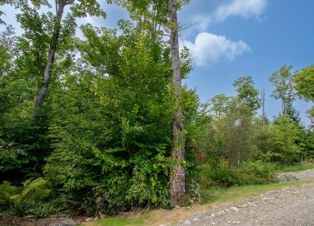 Property at Lot1 Bear Brook Subdivision, Sebec, ME 04481