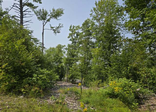 Property at Lot7 Bear Brook Subdivision, Sebec, ME 04481