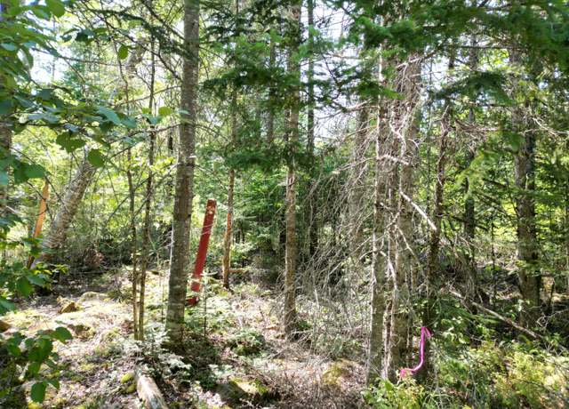 Property at Lot 6 Fogg Brook Rd, Lowell, ME 04493