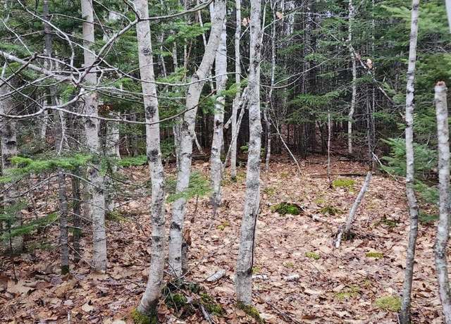 Property at 106 Carol Ct, Bangor, ME 04401