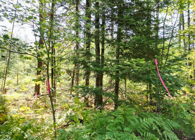 Property at Lot 4 Fogg Brook Rd, Lowell, ME 04493