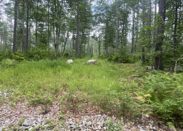 Property at #0 Hio Ridge Rd, Bridgton, ME 04009