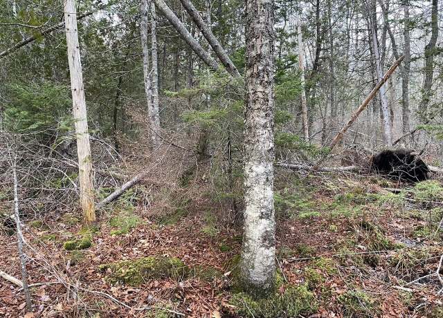 Property at 225 Priest Rd, Northport, ME 04849