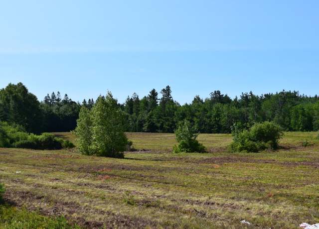 Property at 0 Branch Pond Rd, Ellsworth, ME 04605