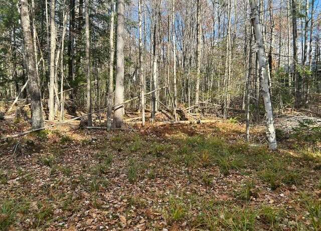 Property at 0 French Rd, Norway, ME 04268