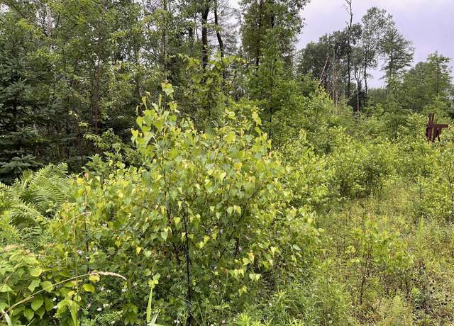 Property at M 17, L 79 Cannan Rd, Pittsfield, ME 04967