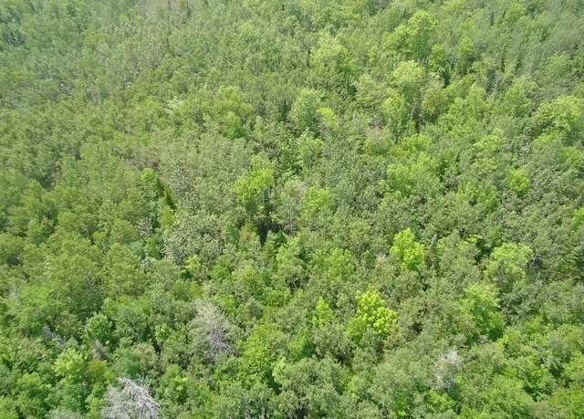 Property at TBD Trafton Rd, Parkman, ME 04443